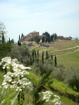 Chianti landscape